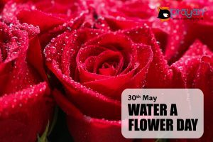 Water a Flower Day